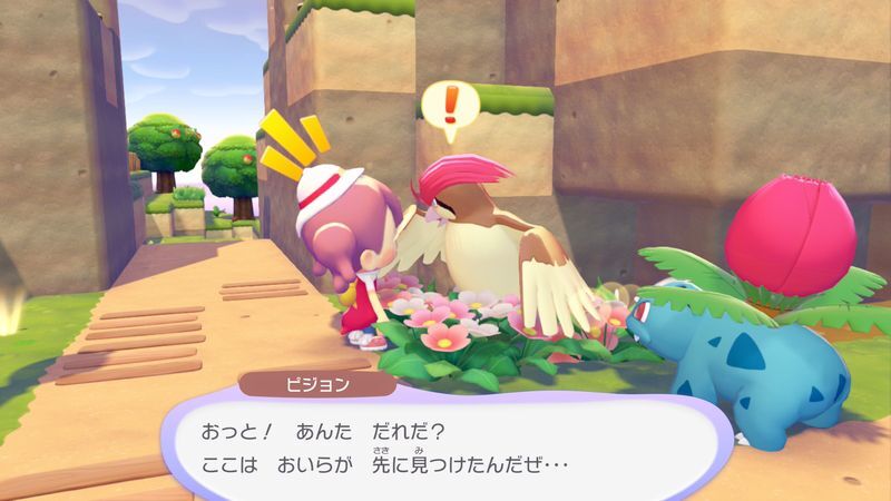 ピジョン出会い1
