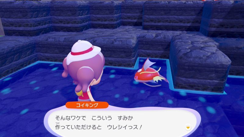 すみかを作っててあげよう！（コイキング）6