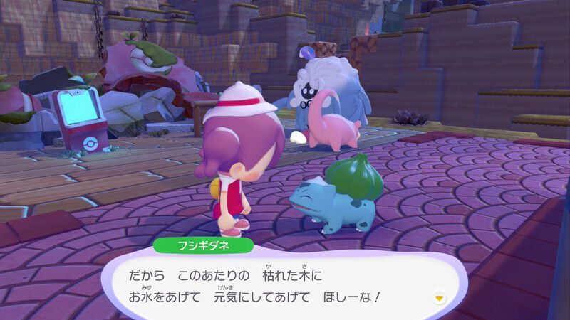 周りの木に水をあげよう！5