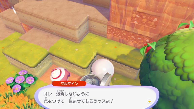 マルマイン出会い3