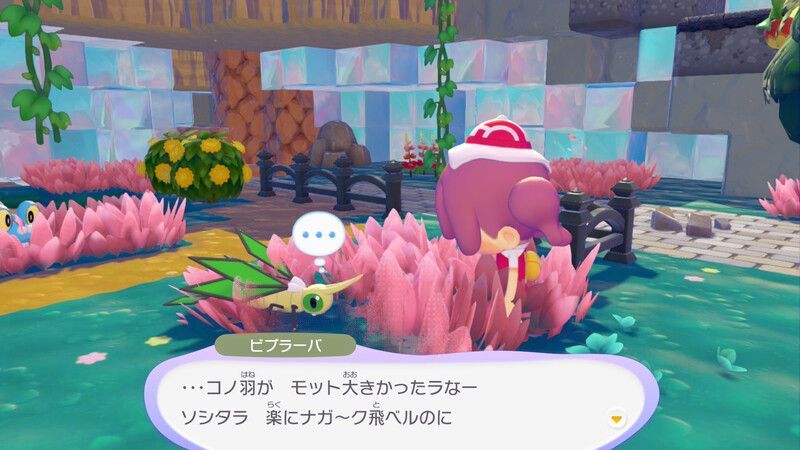 ビブラーバ出会い3