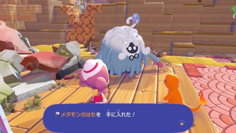 ヒトカゲを連れて行こう！16