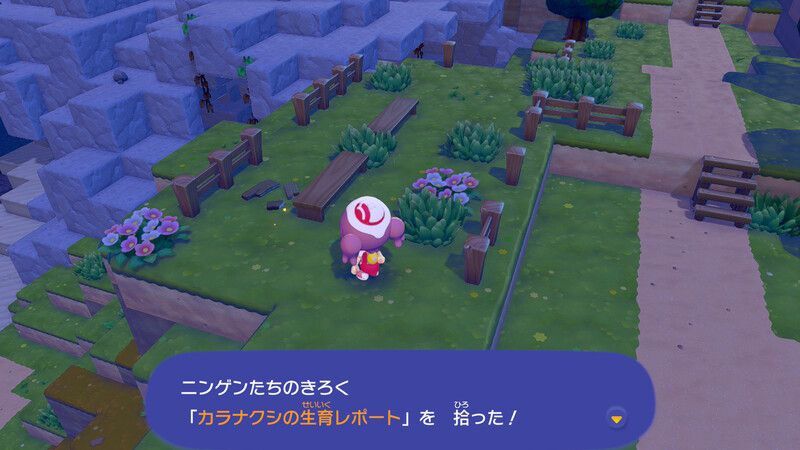 カラナクシの生育レポート入手2