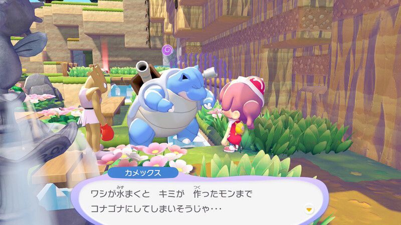 カメックス出会い5