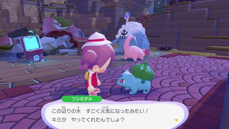 周りの木に水をあげよう！6