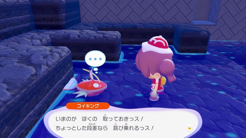 すみかを作っててあげよう！（コイキング）13