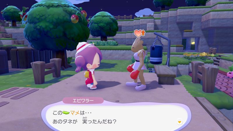 マメを育てよう！13
