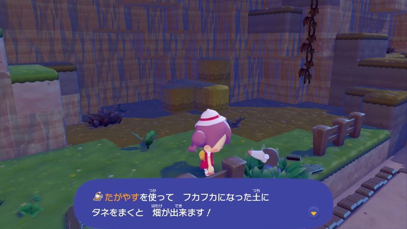 すみかを作っててあげよう！（モグリュー）12