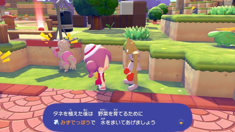 マメを育てよう！10