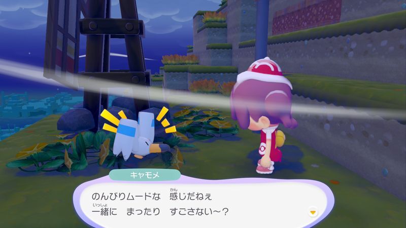 キャモメ出会い5