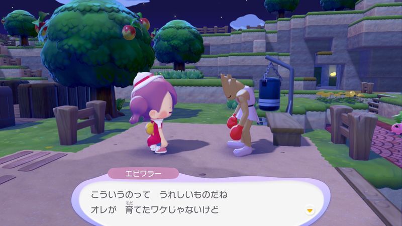 マメを育てよう！14