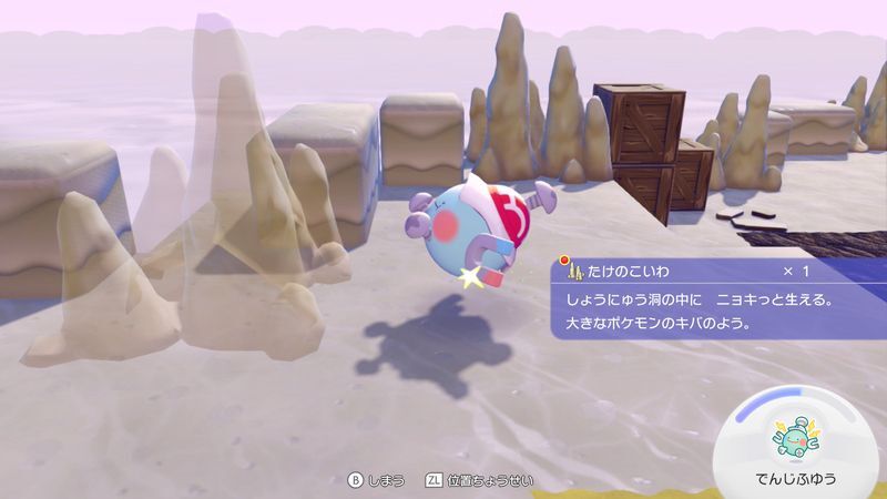 たけのこいわ入手