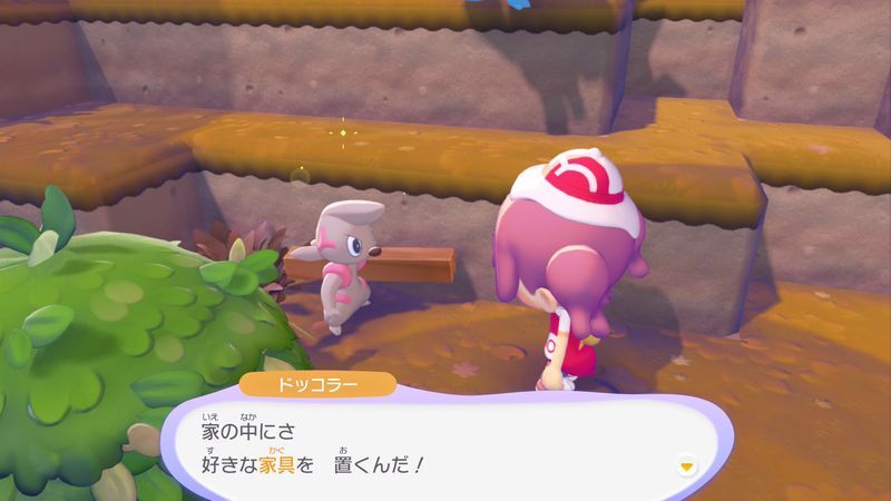 ポケモンに　話しかけよう！（ドッコラー）6