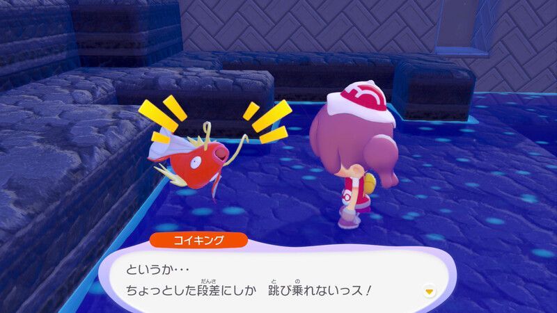 すみかを作っててあげよう！（コイキング）14