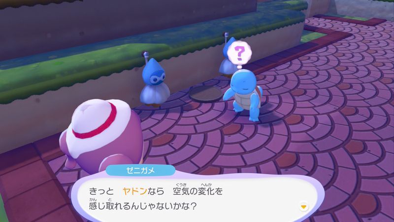 ゼニガメを連れていこう！8