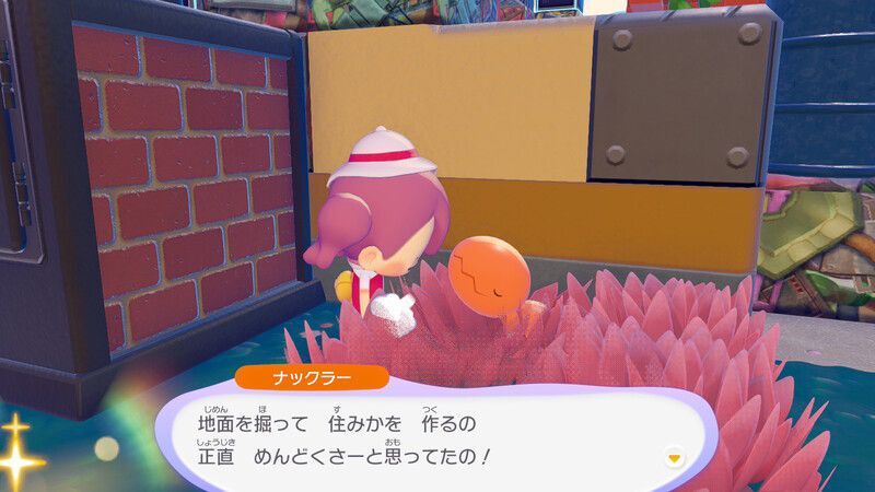 ナックラー出会い2