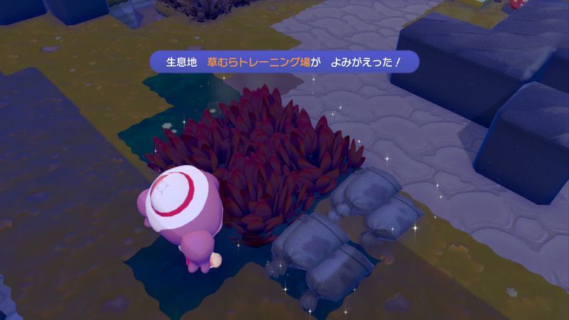 草むらトレーニング場作成
