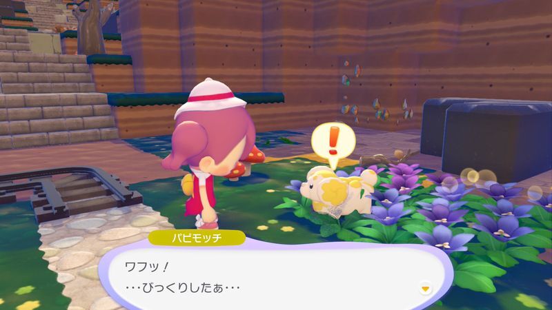 パピモッチ出会い1