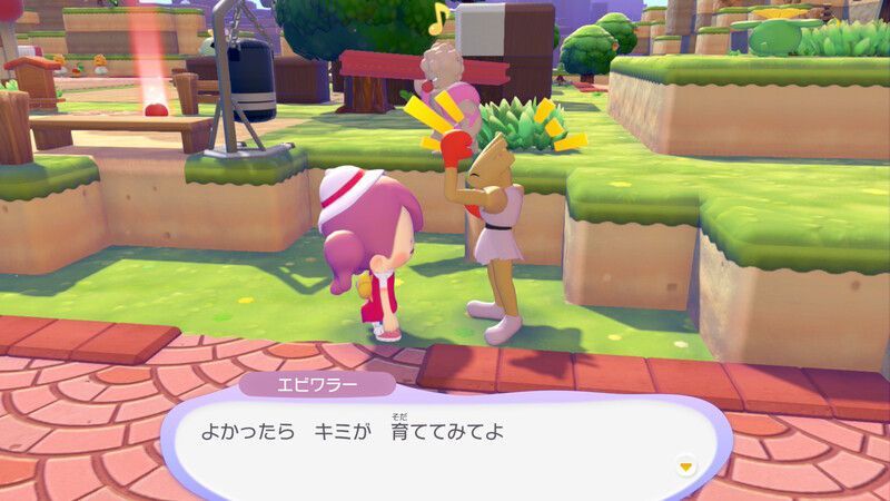 マメを育てよう！7