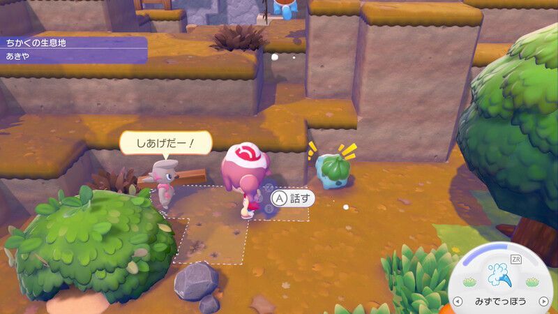 ポケモンに　話しかけよう！（ドッコラー）3