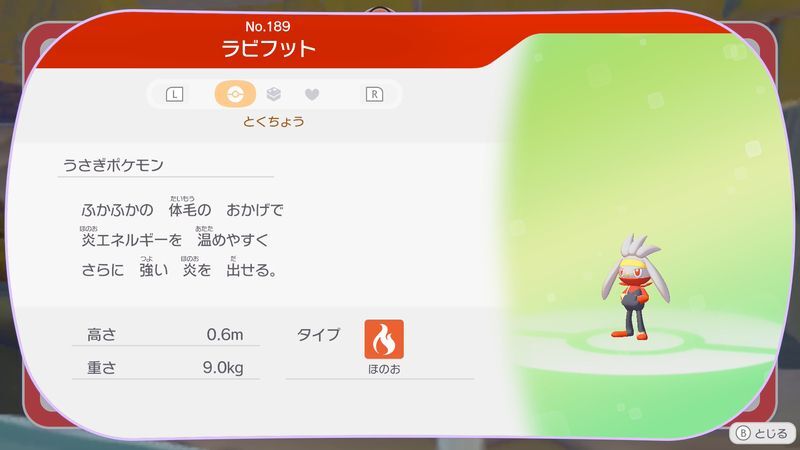 ラビフット図鑑