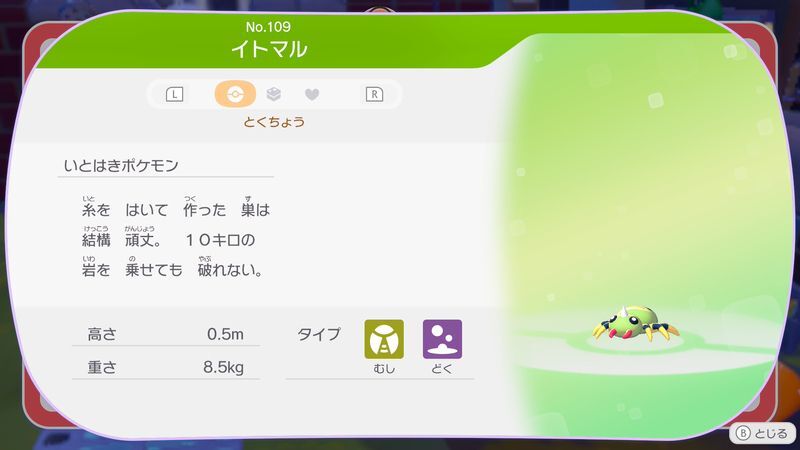 イトマル図鑑