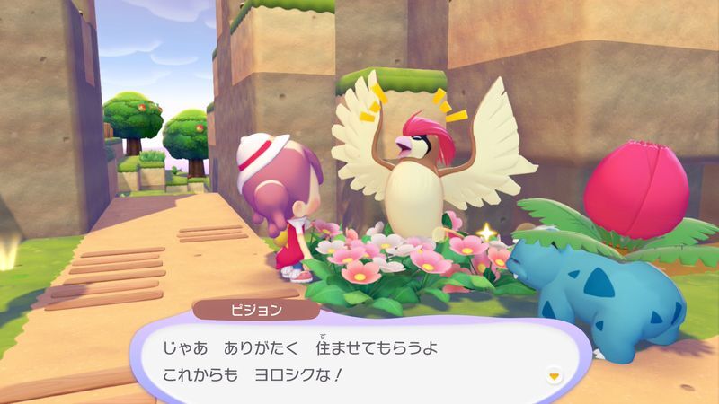 ピジョン出会い4