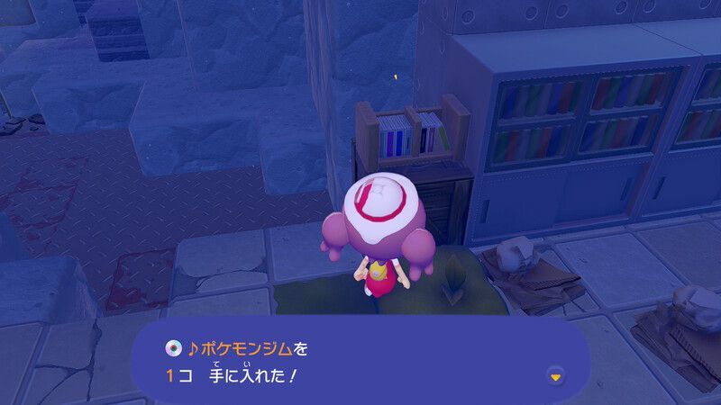 ♪ポケモンジム入手1