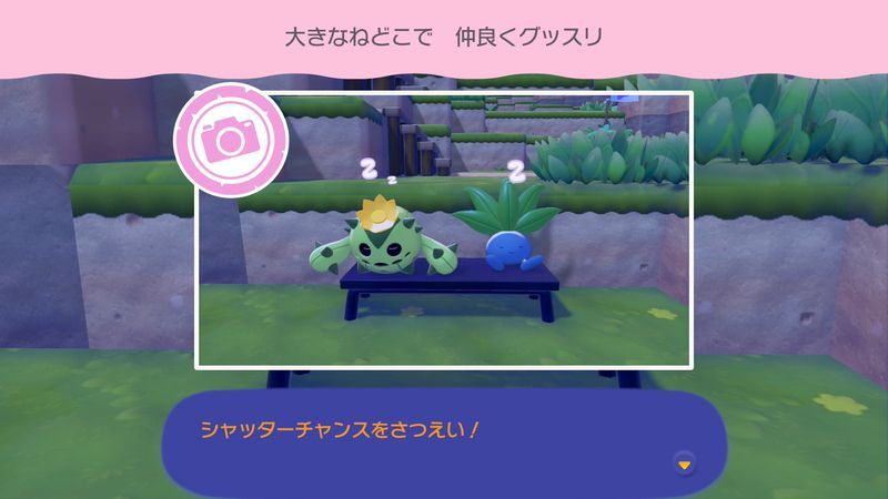 大きなねどこで仲良くグッスリ
