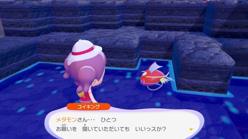 すみかを作っててあげよう！（コイキング）4