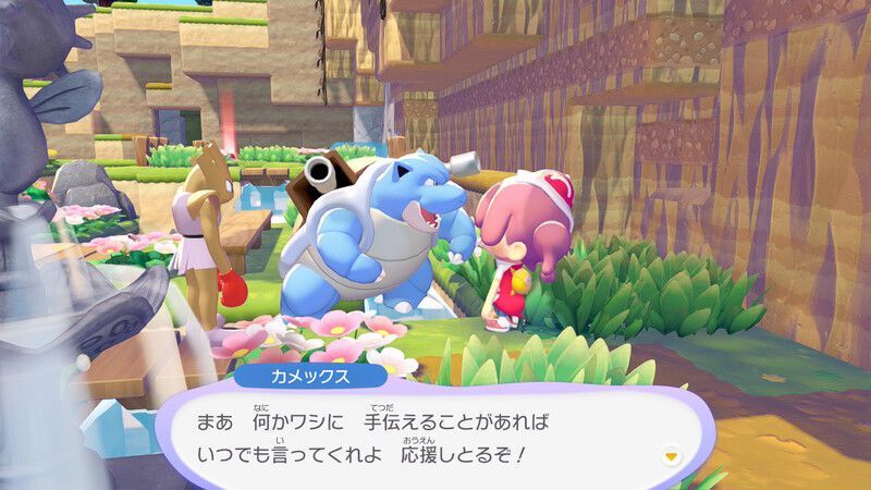カメックス出会い6