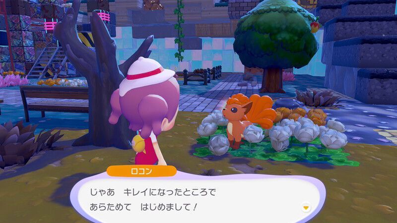 ロコン出会い4