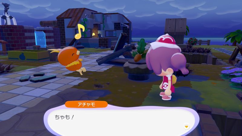 アチャモ出会い1