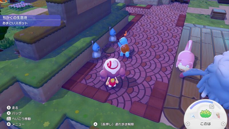 ゼニガメを連れていこう！6