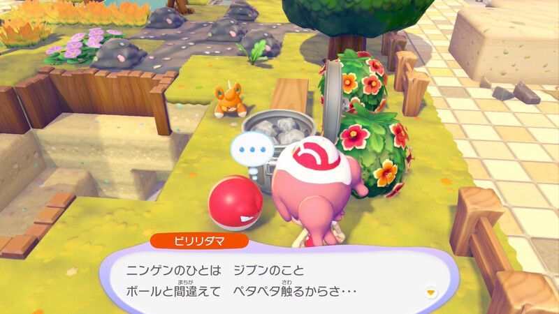 ビリリダマ出会い2