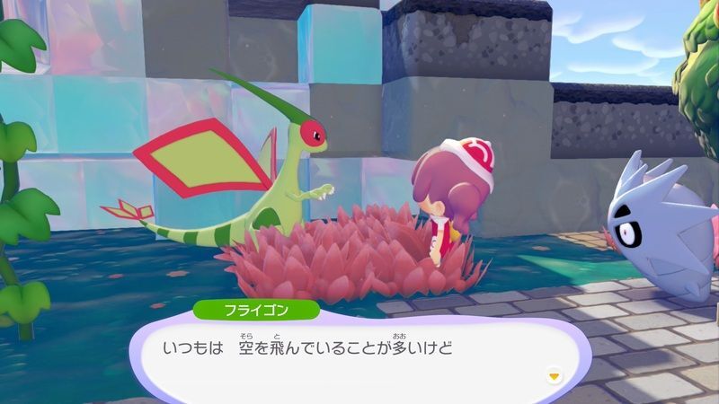 フライゴン出会い3