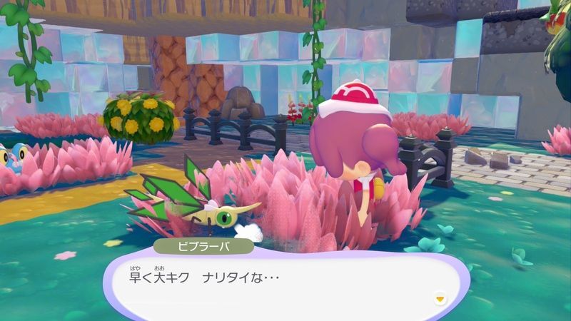 ビブラーバ出会い4
