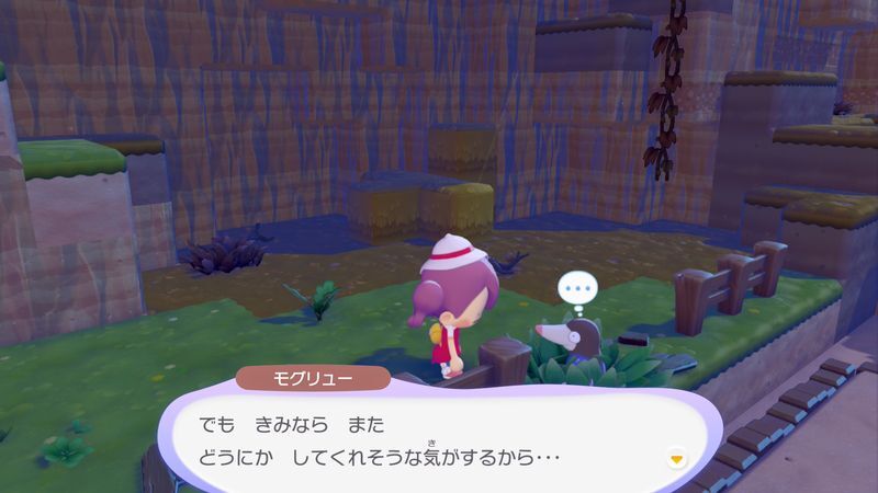 すみかを作っててあげよう！（モグリュー）8