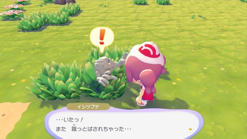 イシツブテ出会い1