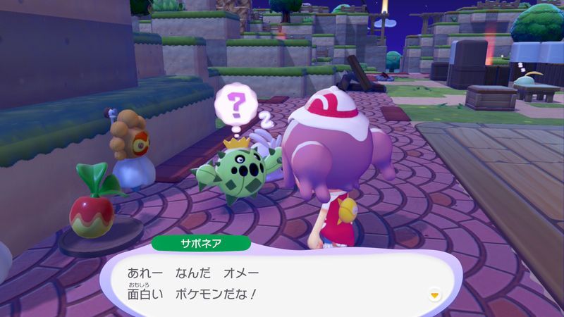 サボネア出会い2