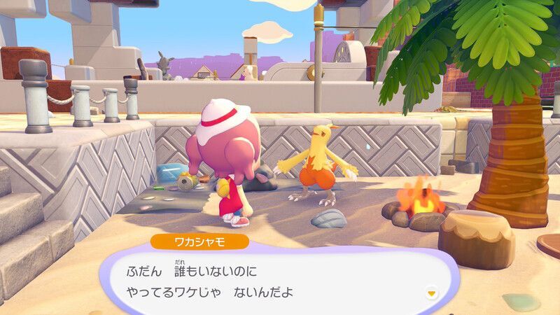 ワカシャモ出会い7