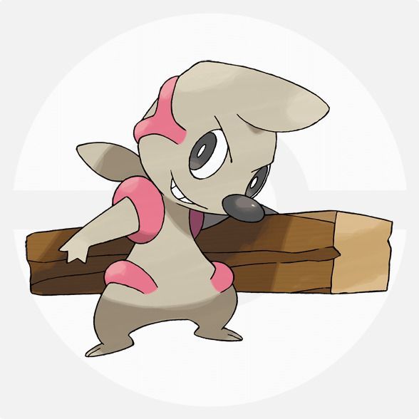 ドッコラー