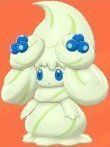 ミルキィまっちゃ