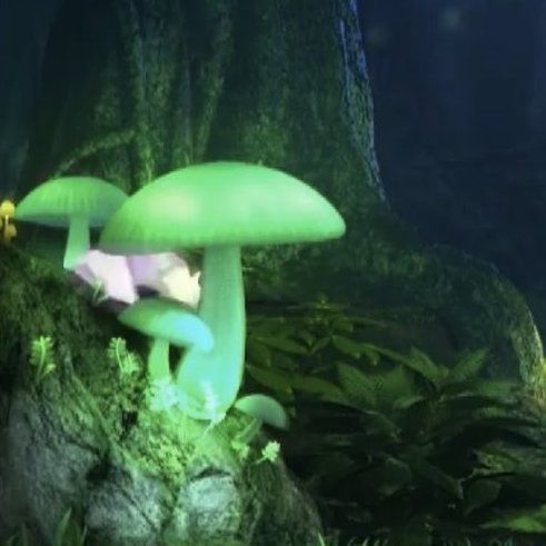 ポケモン剣盾 ポケモンライブカメラで出現するポケモンまとめ ソードシールド 剣盾 攻略 Gamerch