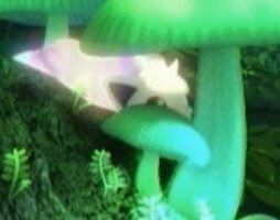新ポケモン？