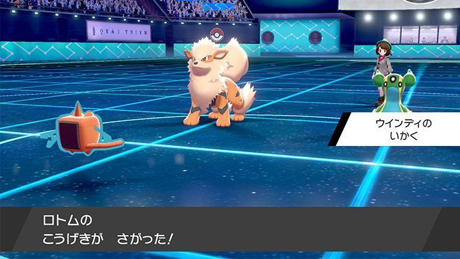 いなくなったあと