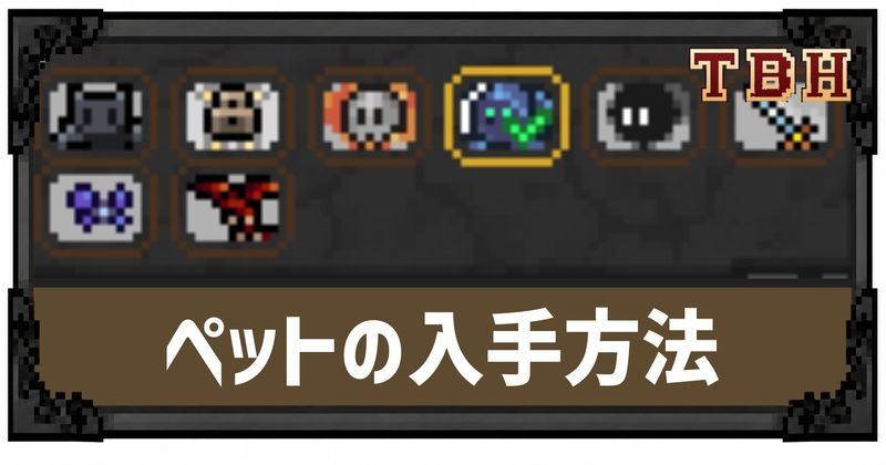 ペットの入手方法