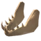 ヴァイルボーンヴィサージュ
