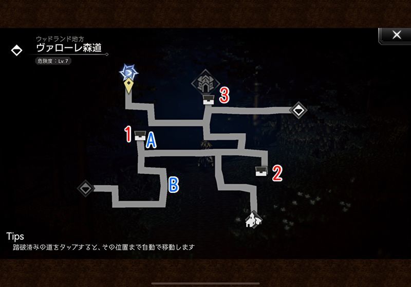 ヴァローレ森道