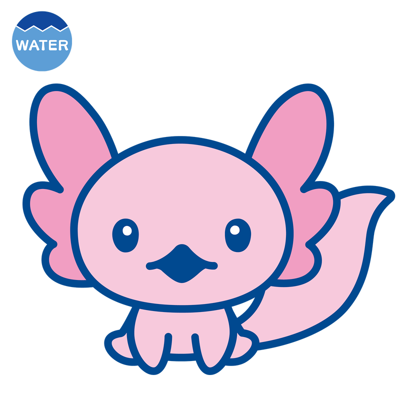 あほろぱっち